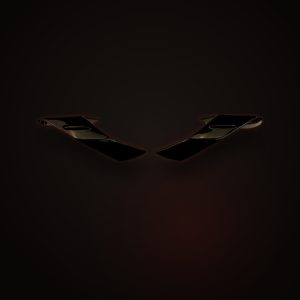 BMW S1000RR Carbon Fiber Winglets